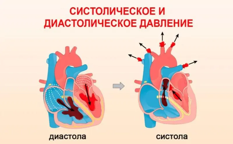 Систолическое-и-диосталическое-давление